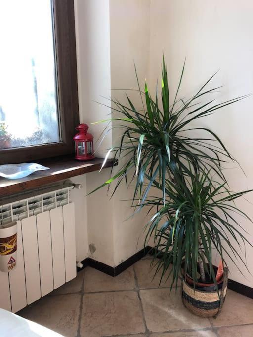 Ca' Cuore In Monferrato Serralunga di Crea Exteriör bild
