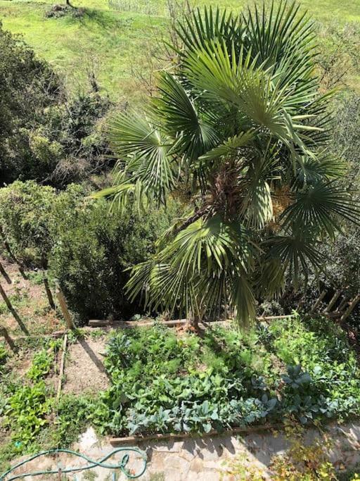 Ca' Cuore In Monferrato Serralunga di Crea Exteriör bild