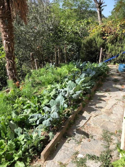 Ca' Cuore In Monferrato Serralunga di Crea Exteriör bild